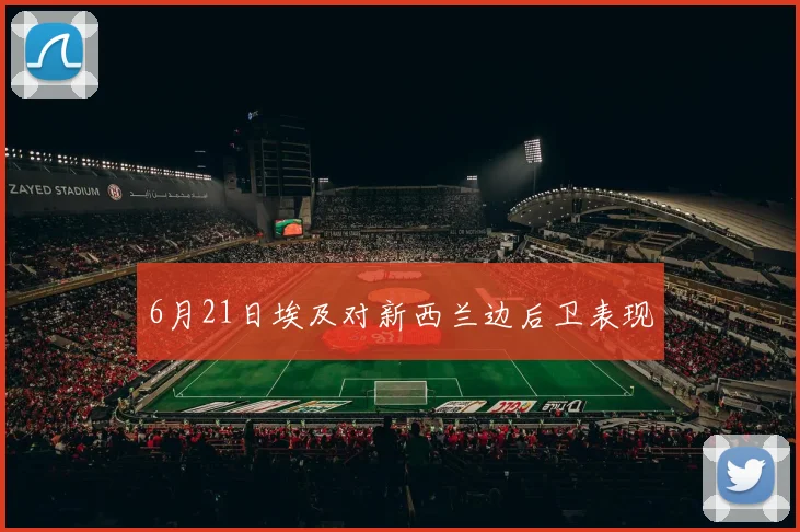 6月21日埃及对新西兰边后卫表现