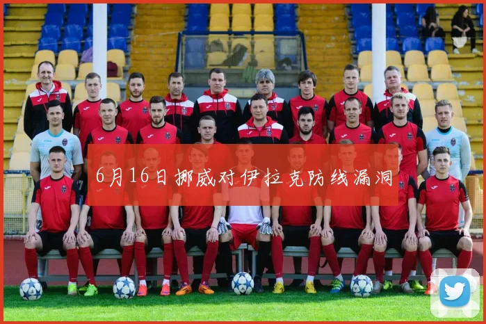 6月16日挪威对伊拉克防线漏洞
