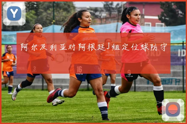 阿尔及利亚对阿根廷J组定位球防守