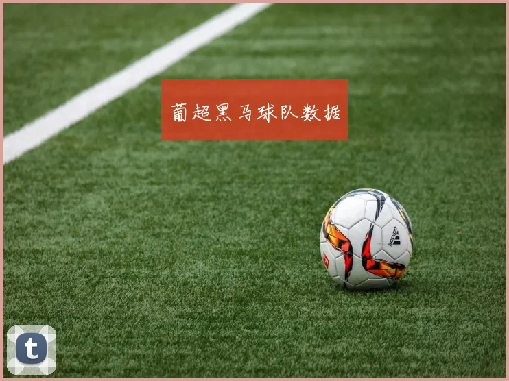 葡超黑马球队数据