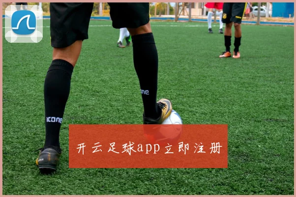开云足球app立即注册