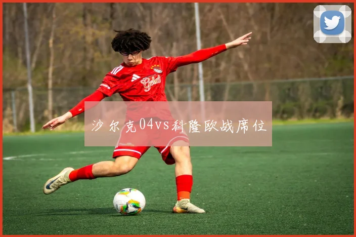 沙尔克04vs科隆欧战席位